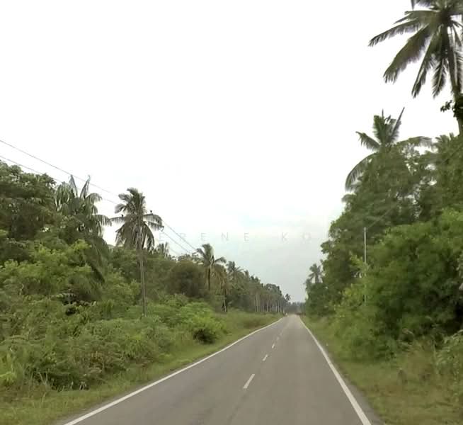 Agricultural Land for Sale in Sematan (Lundu) - Sherene Kok - Exterior - PropertyGuru.com.my