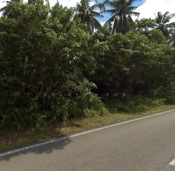 Agricultural Land for Sale in Sematan (Lundu) - Sherene Kok - Exterior - PropertyGuru.com.my