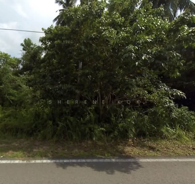 Agricultural Land for Sale in Sematan (Lundu) - Sherene Kok - Exterior - PropertyGuru.com.my