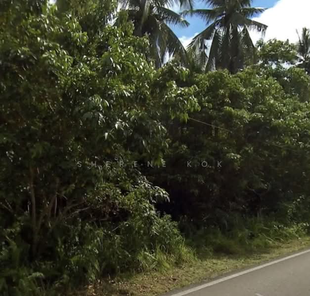 Agricultural Land for Sale in Sematan (Lundu) - Sherene Kok - Exterior - PropertyGuru.com.my