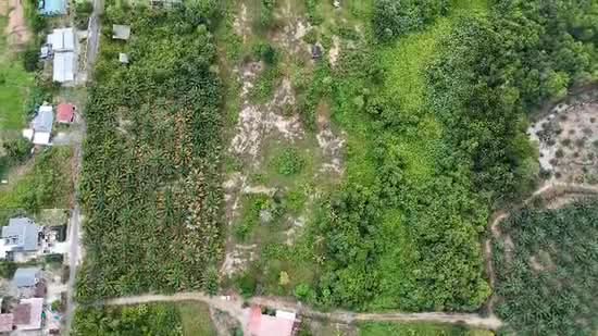 Agricultural Land for Sale in Sematan (Lundu) - Sherene Kok - PropertyGuru.com.my