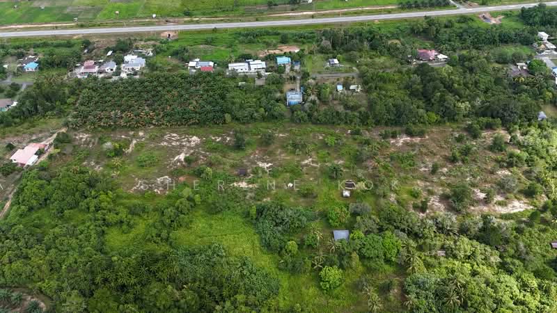Agricultural Land for Sale in Sematan (Lundu) - Sherene Kok - Exterior - PropertyGuru.com.my