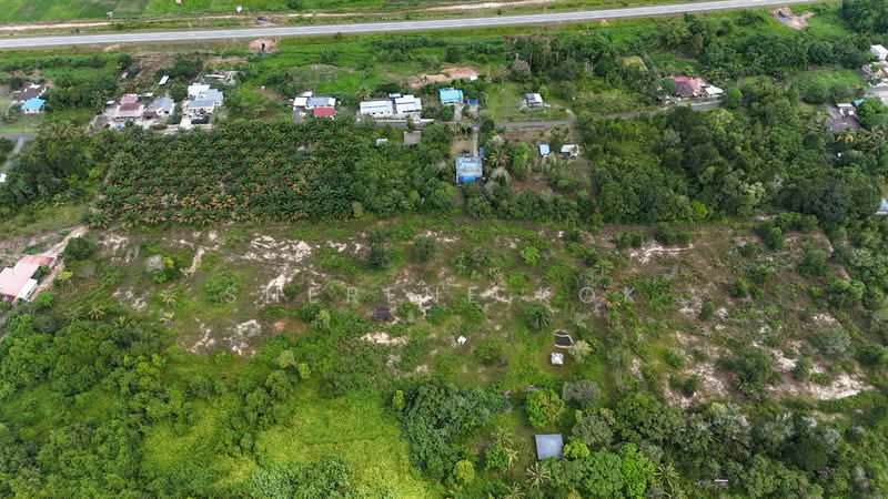 Agricultural Land for Sale in Sematan (Lundu) - Sherene Kok - Exterior - PropertyGuru.com.my