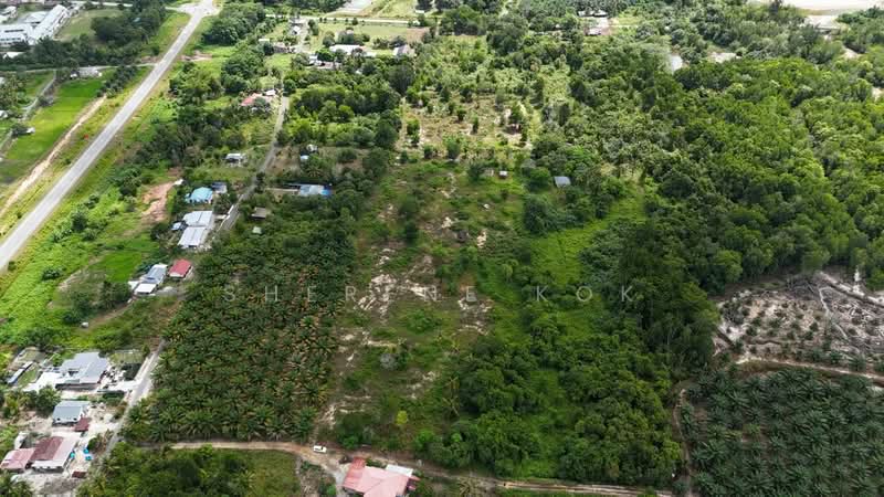 Agricultural Land for Sale in Sematan (Lundu) - Sherene Kok - Exterior - PropertyGuru.com.my