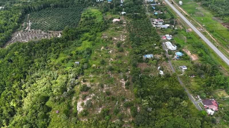 Agricultural Land for Sale in Sematan (Lundu) - Sherene Kok - Exterior - PropertyGuru.com.my