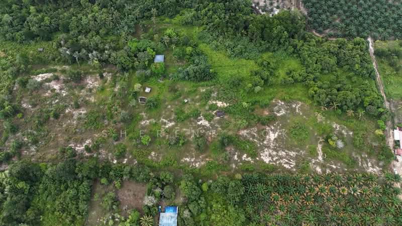 Agricultural Land for Sale in Sematan (Lundu) - Sherene Kok - Exterior - PropertyGuru.com.my