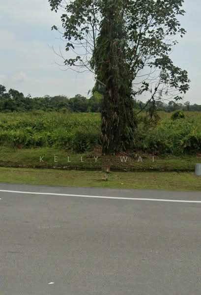 Industrial Land for Sale in Pelabuhan Tanjung Pelepas (Gelang Patah) - Kelly Wai - PropertyGuru.com.my