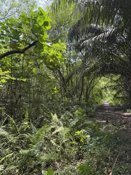 Agricultural Land for Rent in Puchong (Selangor) - Igen Mak - Exterior - PropertyGuru.com.my