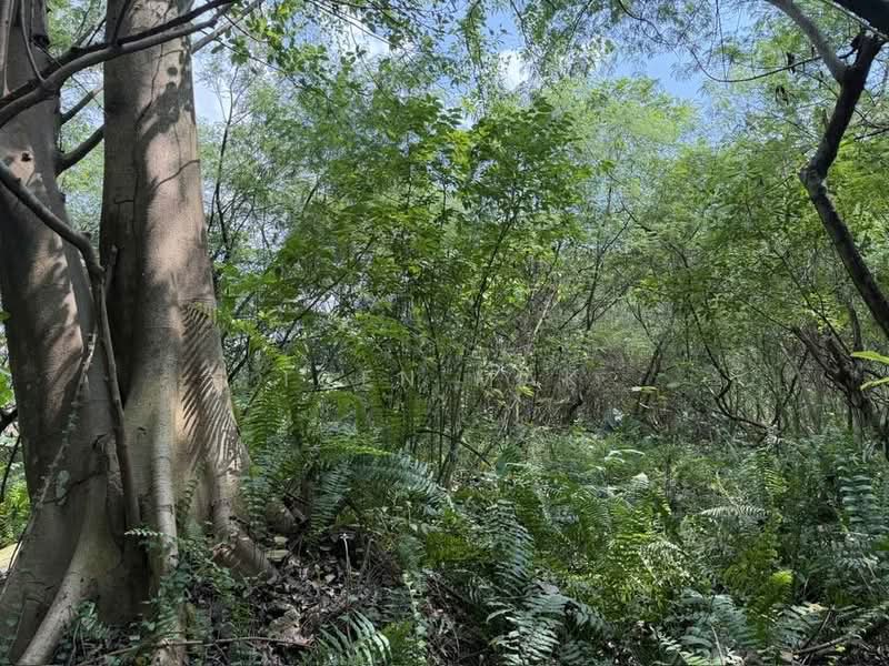 Agricultural Land for Rent in Puchong (Selangor) - Igen Mak - Exterior - PropertyGuru.com.my