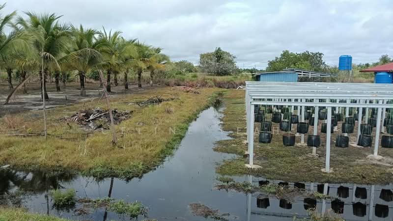 Agricultural Land for Sale in Kota Kinabalu (Sabah) - Celine Teah - Exterior - PropertyGuru.com.my
