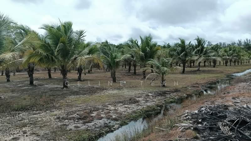 Agricultural Land for Sale in Kota Kinabalu (Sabah) - Celine Teah - Exterior - PropertyGuru.com.my