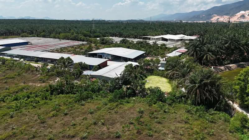 Agricultural Land for Sale in Chemor Park (Chemor) - Michele Leong - Exterior - PropertyGuru.com.my