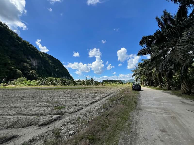 Agricultural Land for Sale in Chemor Park (Chemor) - Michele Leong - Exterior - PropertyGuru.com.my