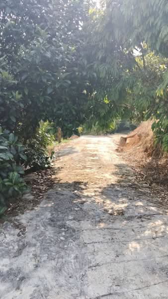 Agricultural Land for Sale in Kuala Kangsar (Perak) - Ivan Tai - PropertyGuru.com.my
