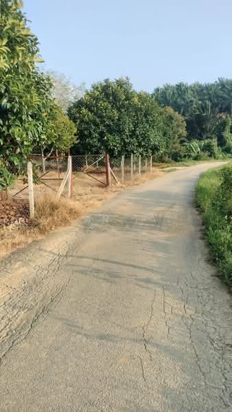 Agricultural Land for Sale in Kuala Kangsar (Perak) - Ivan Tai - PropertyGuru.com.my