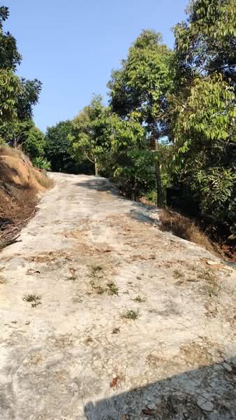 Agricultural Land for Sale in Kuala Kangsar (Perak) - Ivan Tai - PropertyGuru.com.my