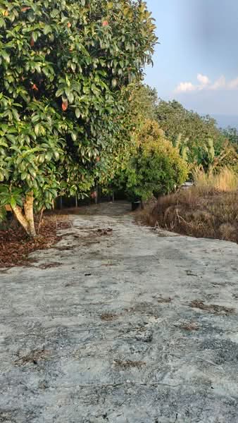 Agricultural Land for Sale in Kuala Kangsar (Perak) - Ivan Tai - PropertyGuru.com.my