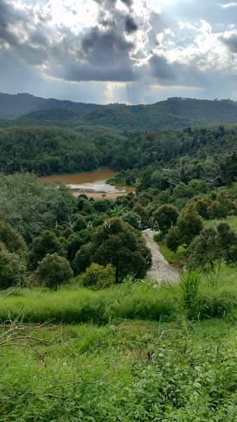 Agricultural Land for Sale in Kuala Kangsar (Perak) - Ivan Tai - PropertyGuru.com.my