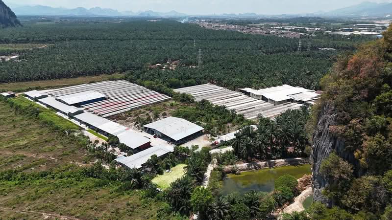 Tanah Pertanian untuk Dijual di Chemor (Perak) - Ivan Tai - PropertyGuru.com.my