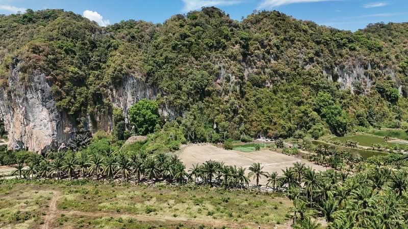 Tanah Pertanian untuk Dijual di Chemor (Perak) - Ivan Tai - PropertyGuru.com.my