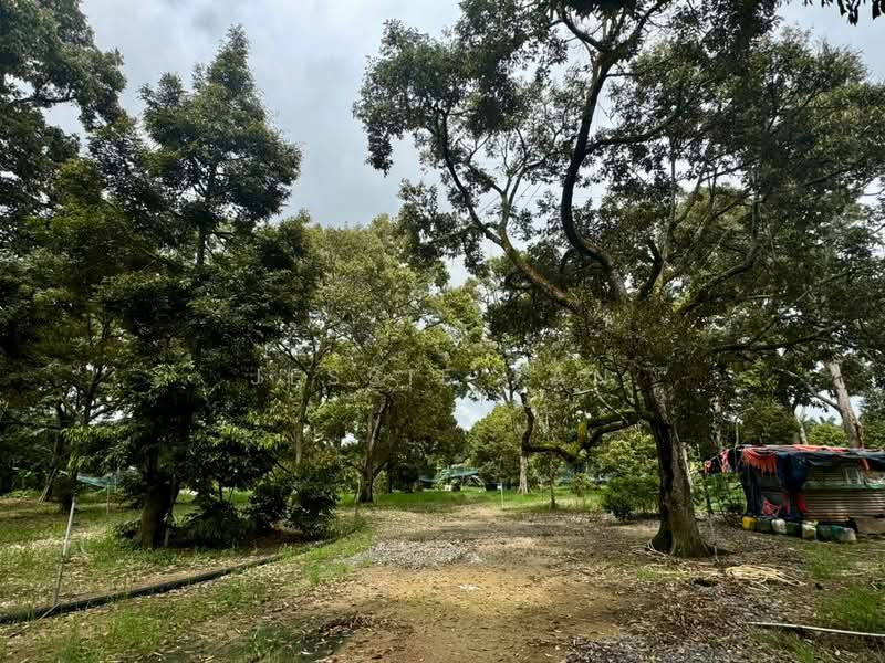Agricultural Land for Sale in Segamat (Johor) - Jessie Tan - Exterior - PropertyGuru.com.my