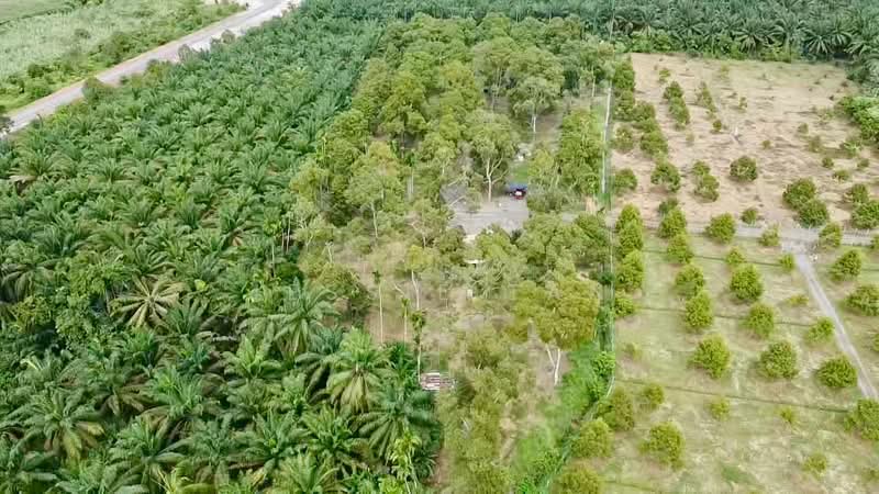 Agricultural Land for Sale in Segamat (Johor) - Jessie Tan - Exterior - PropertyGuru.com.my