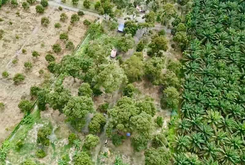 Agricultural Land for Sale in Segamat (Johor) - Jessie Tan - Exterior - PropertyGuru.com.my