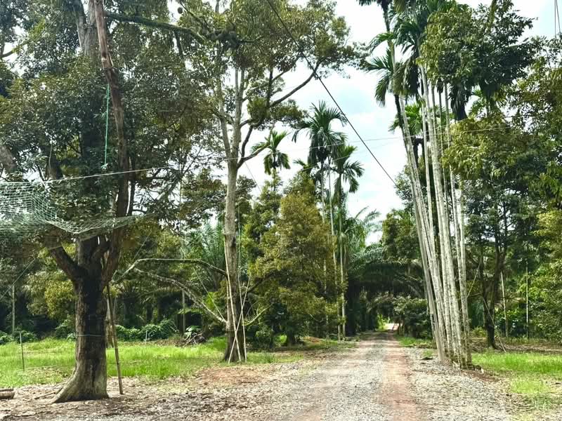 Agricultural Land for Sale in Segamat (Johor) - Jessie Tan - Exterior - PropertyGuru.com.my