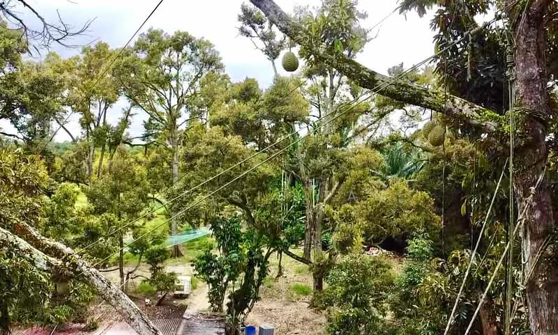 Agricultural Land for Sale in Segamat (Johor) - Jessie Tan - Exterior - PropertyGuru.com.my