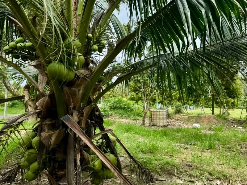 Agricultural Land for Sale in Segamat (Johor) - Jessie Tan - Exterior - PropertyGuru.com.my