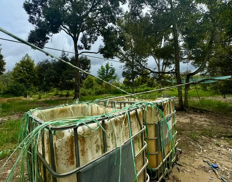 Agricultural Land for Sale in Segamat (Johor) - Jessie Tan - Exterior - PropertyGuru.com.my