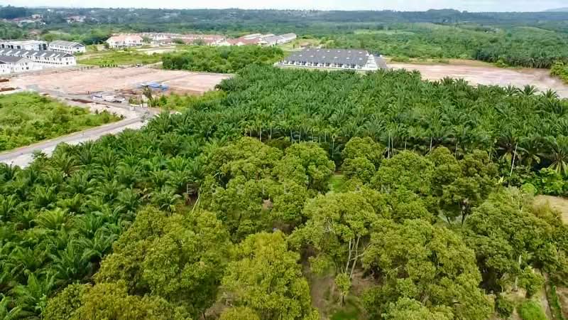 Agricultural Land for Sale in Segamat (Johor) - Jessie Tan - Exterior - PropertyGuru.com.my