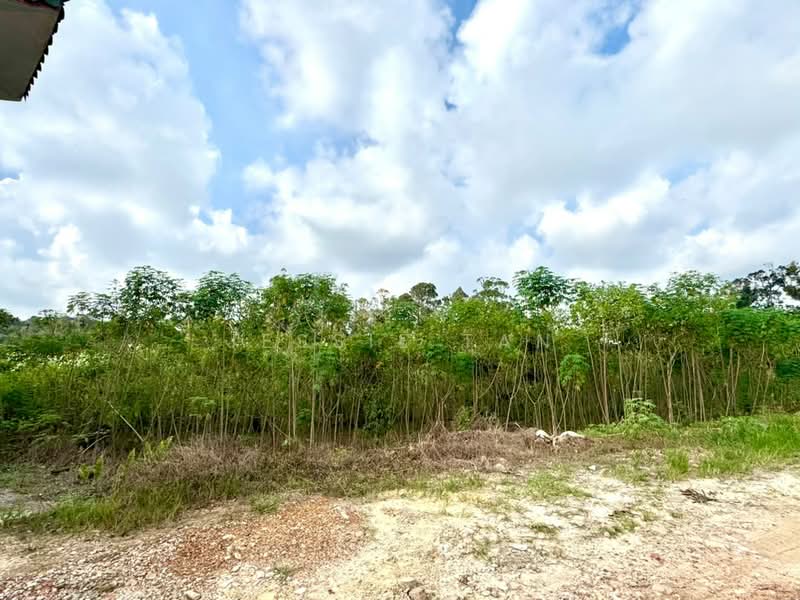 Tanah Pertanian untuk Dijual di Kangkar Pulai (Skudai) - Jessie Tan - Exterior - PropertyGuru.com.my