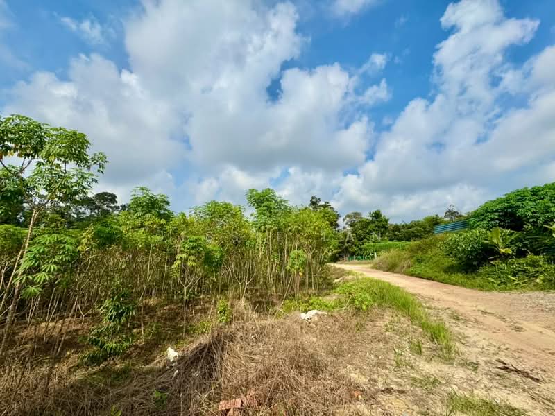 Tanah Pertanian untuk Dijual di Kangkar Pulai (Skudai) - Jessie Tan - Exterior - PropertyGuru.com.my