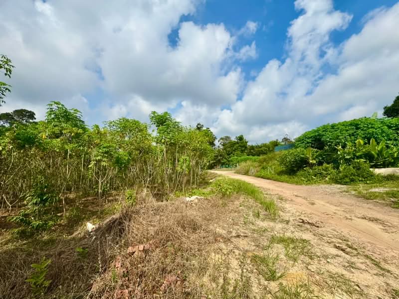 Tanah Pertanian untuk Dijual di Kangkar Pulai (Skudai) - Jessie Tan - Exterior - PropertyGuru.com.my