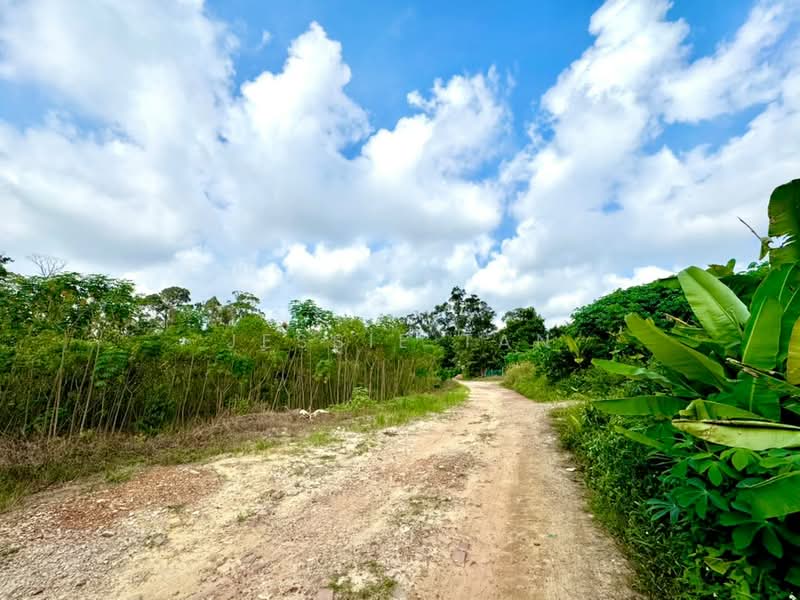 Tanah Pertanian untuk Dijual di Kangkar Pulai (Skudai) - Jessie Tan - Exterior - PropertyGuru.com.my