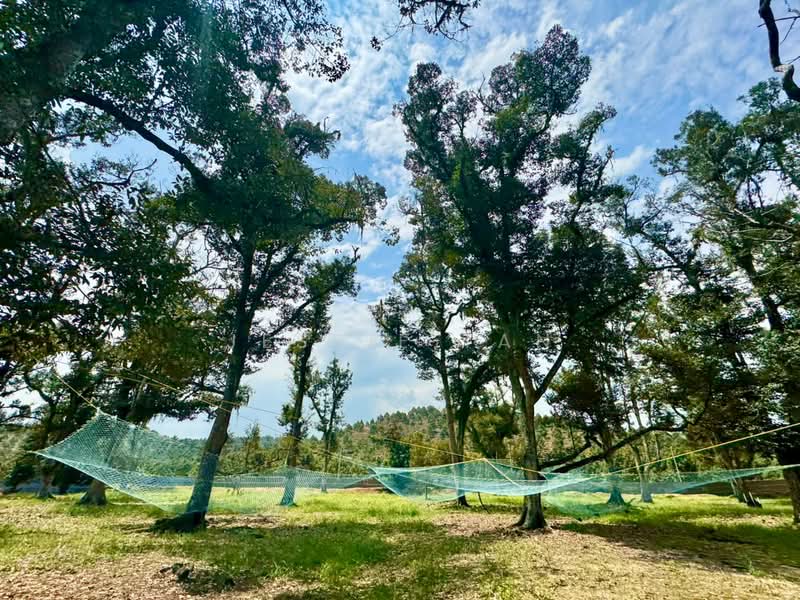 Tanah Pertanian untuk Dijual di Kampung Haji Noor (Simpang Renggam) - Jessie Tan - Exterior - PropertyGuru.com.my