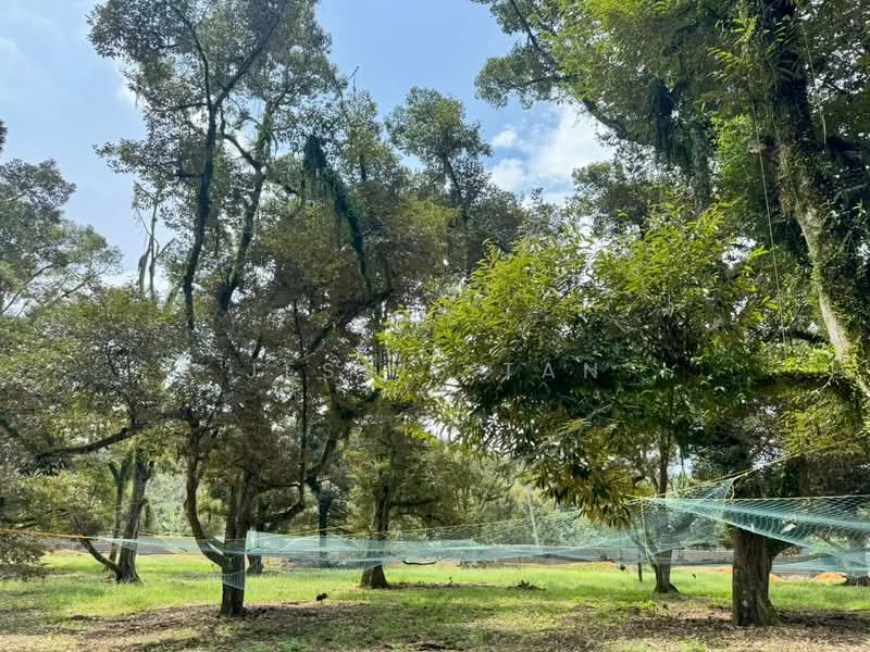 Tanah Pertanian untuk Dijual di Kampung Haji Noor (Simpang Renggam) - Jessie Tan - Exterior - PropertyGuru.com.my