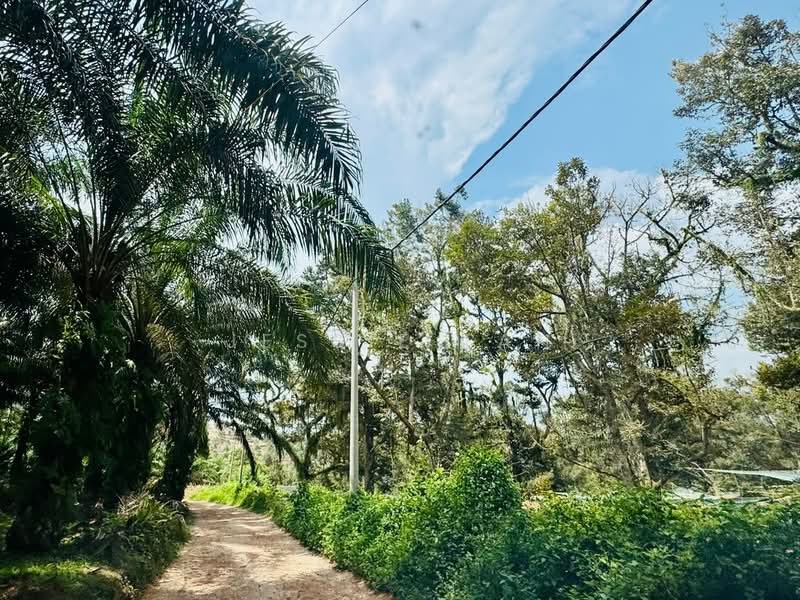 Tanah Pertanian untuk Dijual di Kampung Haji Noor (Simpang Renggam) - Jessie Tan - Exterior - PropertyGuru.com.my