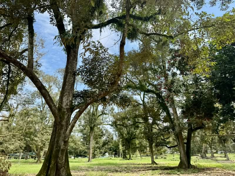 Tanah Pertanian untuk Dijual di Kampung Haji Noor (Simpang Renggam) - Jessie Tan - Garden - PropertyGuru.com.my