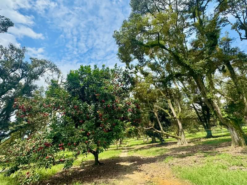 Tanah Pertanian untuk Dijual di Kampung Haji Noor (Simpang Renggam) - Jessie Tan - Garden - PropertyGuru.com.my