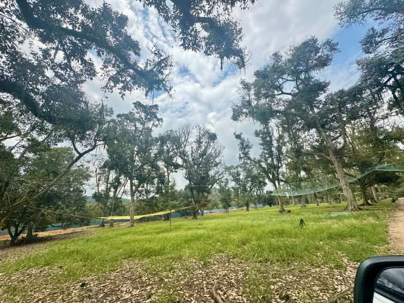 Tanah Pertanian untuk Dijual di Kampung Haji Noor (Simpang Renggam) - Jessie Tan - Exterior - PropertyGuru.com.my