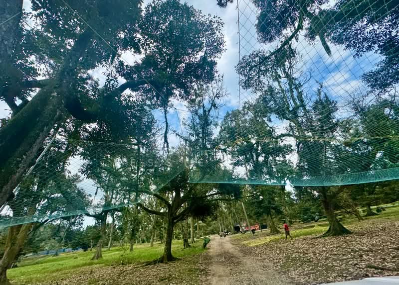 Tanah Pertanian untuk Dijual di Kampung Haji Noor (Simpang Renggam) - Jessie Tan - Exterior - PropertyGuru.com.my
