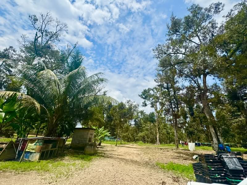 Tanah Pertanian untuk Dijual di Kampung Haji Noor (Simpang Renggam) - Jessie Tan - Exterior - PropertyGuru.com.my