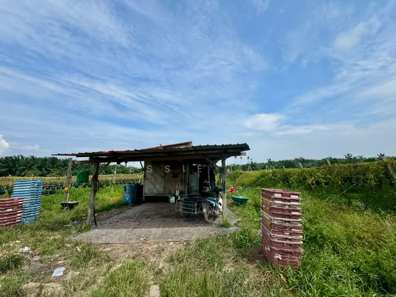 Tanah Pertanian untuk Dijual di Pontian (Johor) - Jessie Tan - Exterior - PropertyGuru.com.my