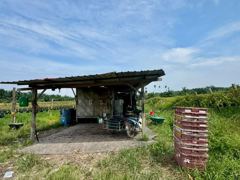Tanah Pertanian untuk Dijual di Pontian (Johor) - Jessie Tan - Exterior - PropertyGuru.com.my