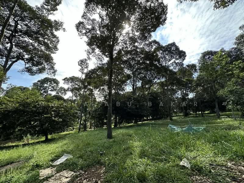 Agricultural Land for Sale in Semenyih (Selangor) - Maria Abu Bakar - Garden - PropertyGuru.com.my