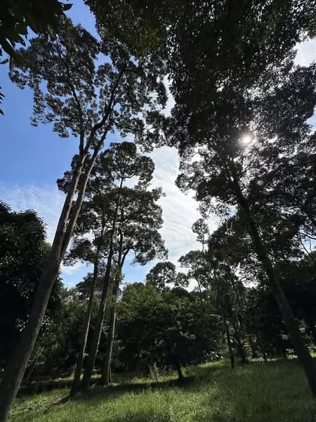 Agricultural Land for Sale in Semenyih (Selangor) - Maria Abu Bakar - Garden - PropertyGuru.com.my