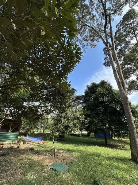 Agricultural Land for Sale in Semenyih (Selangor) - Maria Abu Bakar - Garden - PropertyGuru.com.my