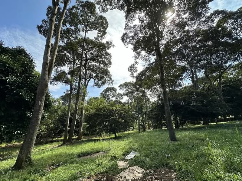 Agricultural Land for Sale in Semenyih (Selangor) - Maria Abu Bakar - Garden - PropertyGuru.com.my